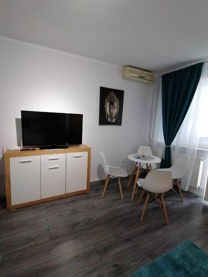 تيميشورا Bega Circumvalatiunii 1 Room Apartment المظهر الخارجي الصورة
