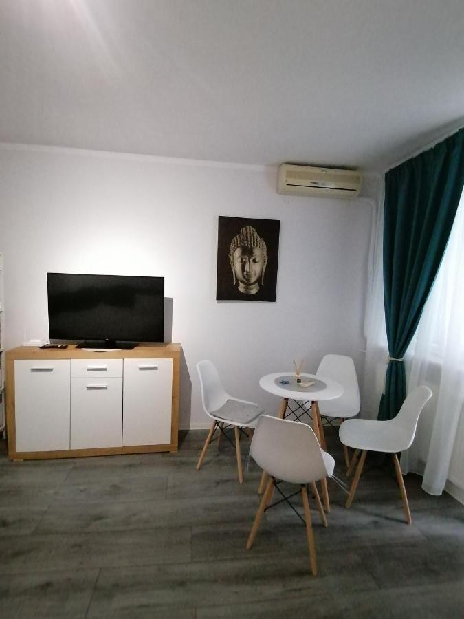 تيميشورا Bega Circumvalatiunii 1 Room Apartment المظهر الخارجي الصورة