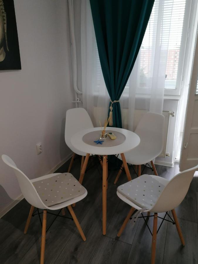 تيميشورا Bega Circumvalatiunii 1 Room Apartment المظهر الخارجي الصورة