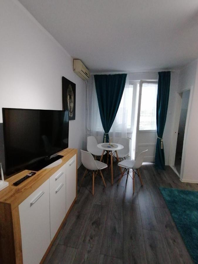 تيميشورا Bega Circumvalatiunii 1 Room Apartment المظهر الخارجي الصورة