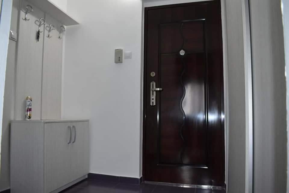 تيميشورا Bega Circumvalatiunii 1 Room Apartment المظهر الخارجي الصورة