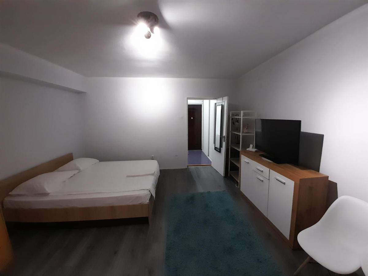 تيميشورا Bega Circumvalatiunii 1 Room Apartment المظهر الخارجي الصورة