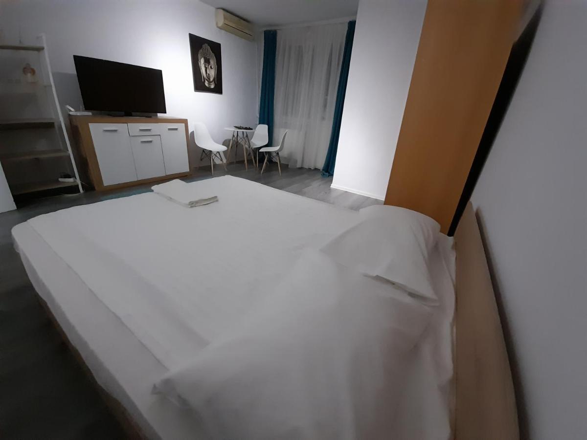 تيميشورا Bega Circumvalatiunii 1 Room Apartment المظهر الخارجي الصورة